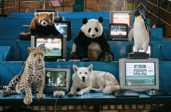 FLUX.2 Pro Image Generation Examples